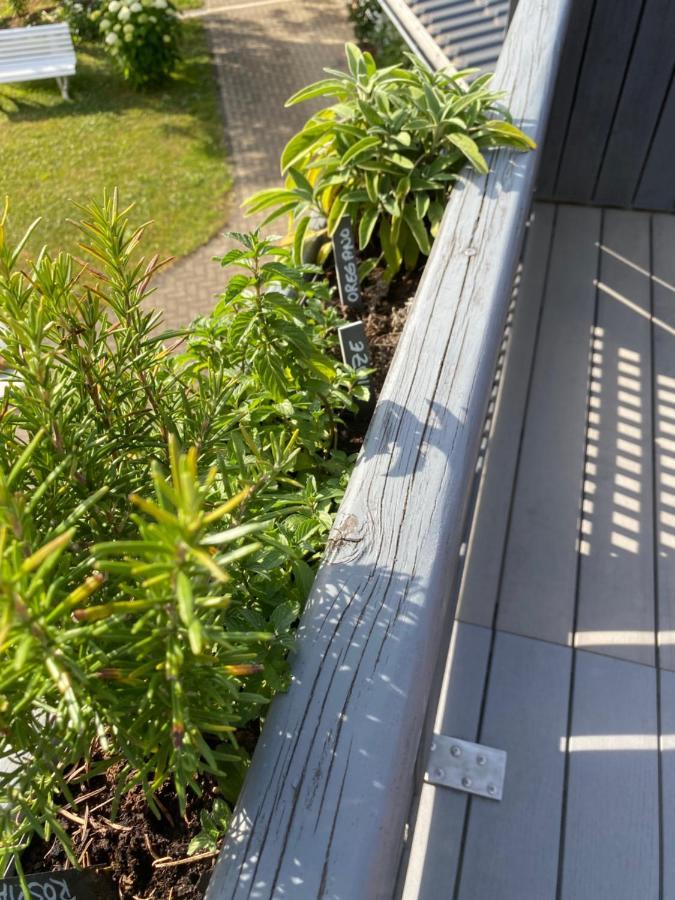 Ferienwohnung Auszeit Bockelnhagen Exteriér fotografie